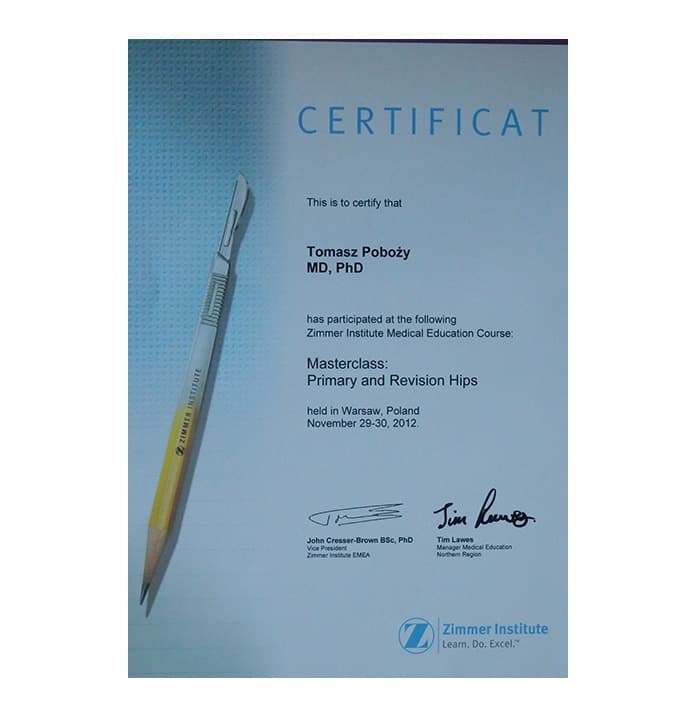 Masterclass: Primary and Revision Hips